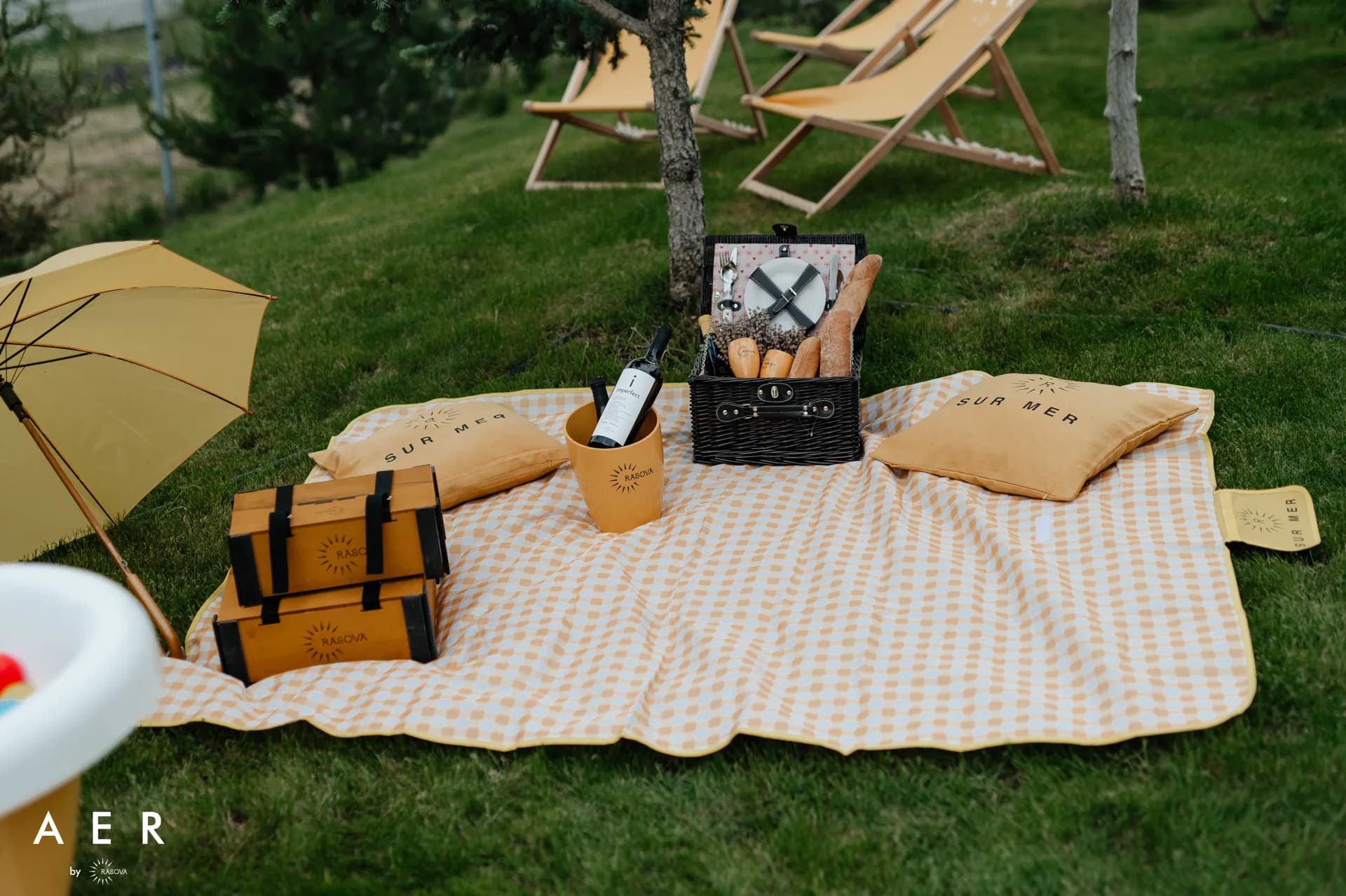 Picnic pe iarbă, cu vinurile Rasova