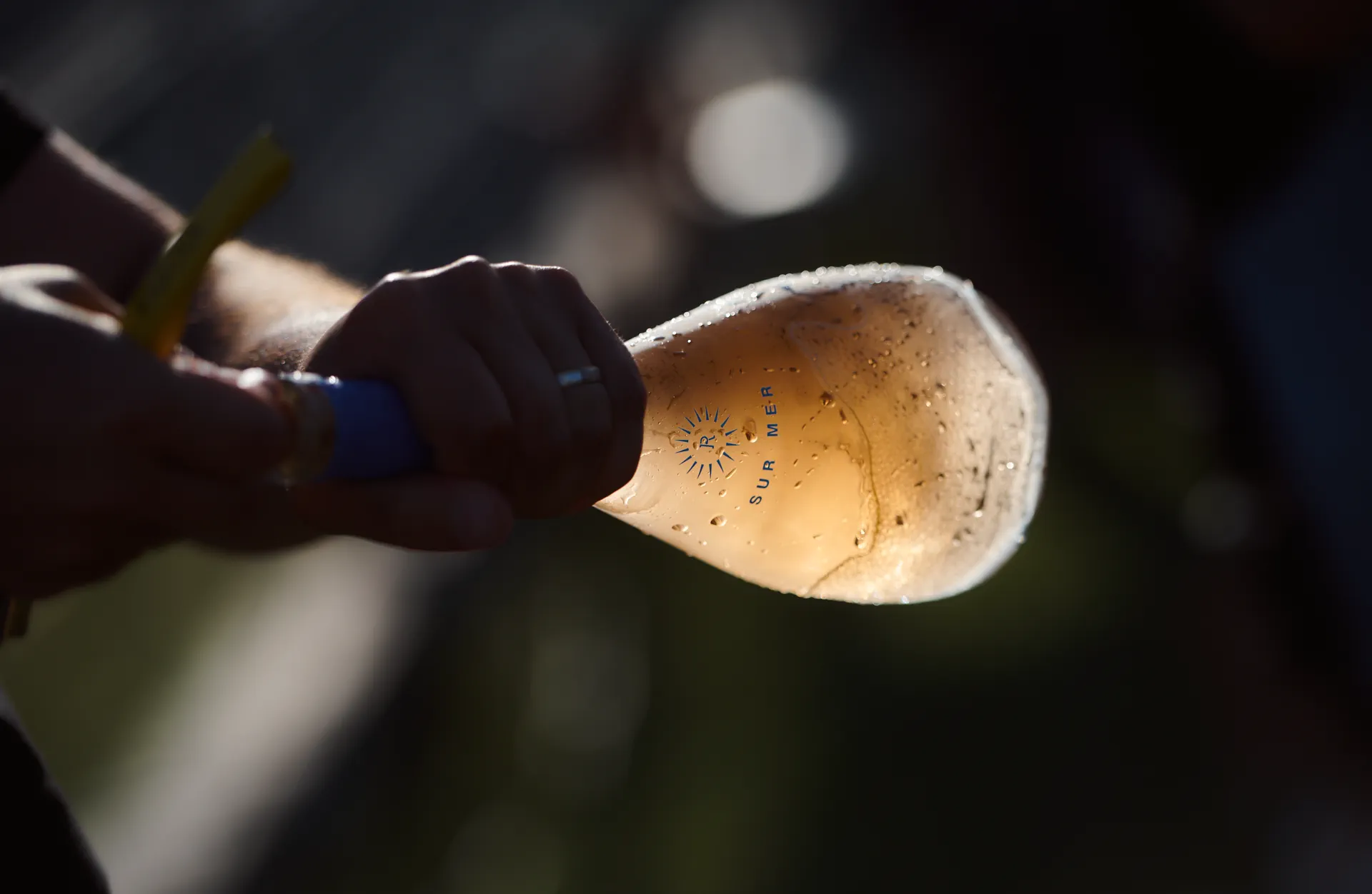 A glass raised in the Dobrogean sun