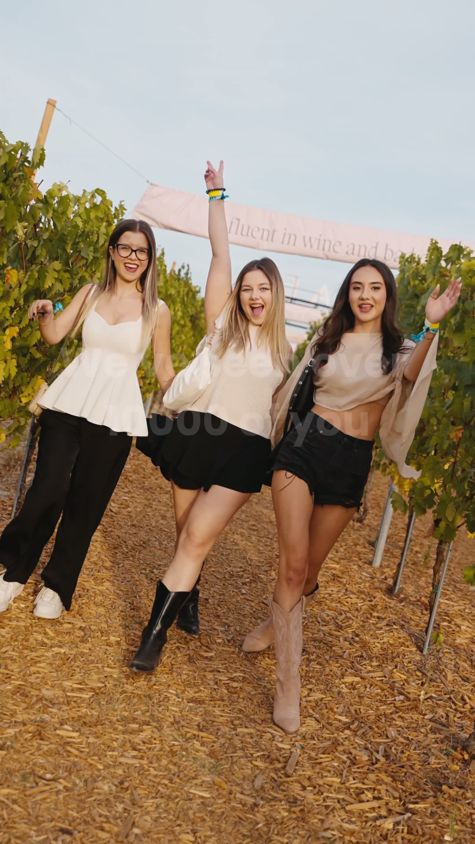 Aftermovie AER by Rasova: seara pe Dealul Vifor