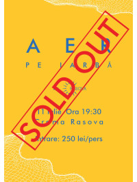 AER pe Iarba Sur Mer SOLD OUT_site copy